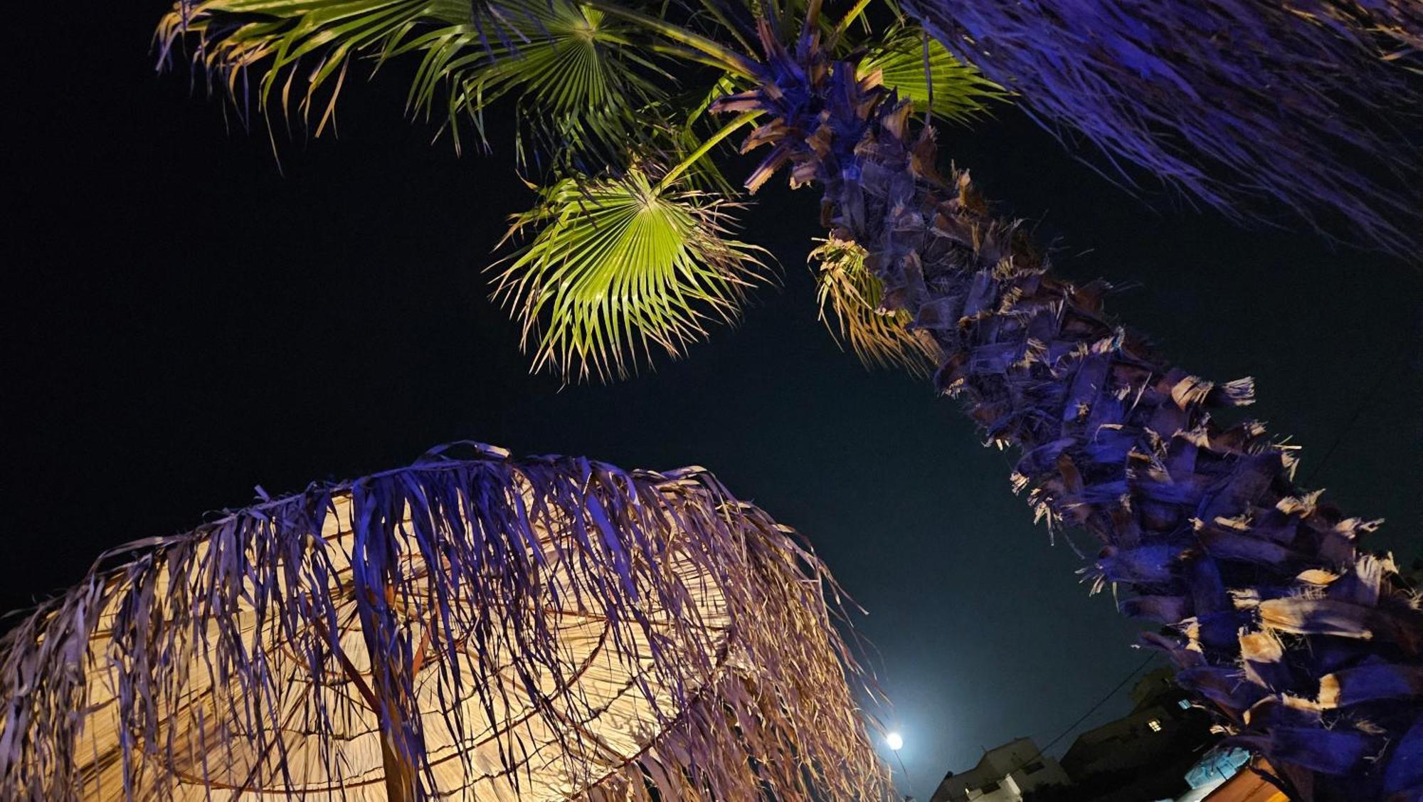 Elli Tropical Suites Mykonos Town Exterior foto