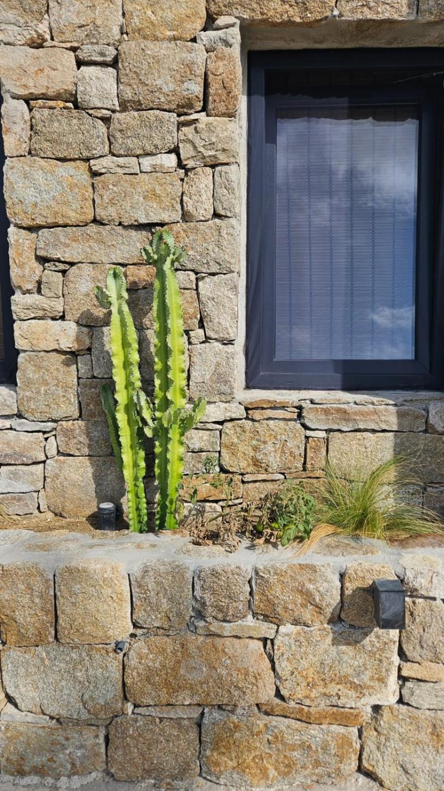 Elli Tropical Suites Mykonos Town Exterior foto